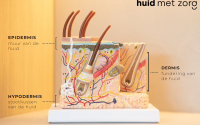 Hoe werkt de huid?